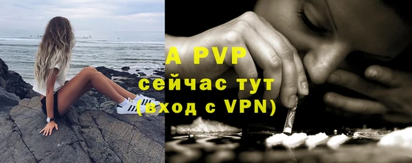 мяу мяу кристалл Богданович