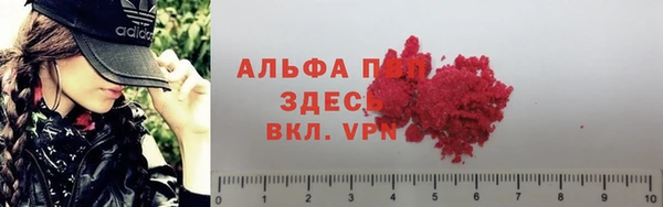 мяу мяу кристалл Богданович