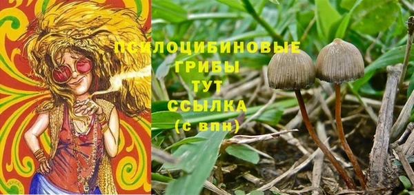 мяу мяу кристалл Богданович